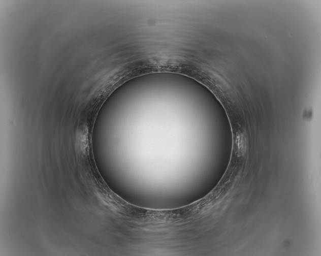 X0000091070963200708131149