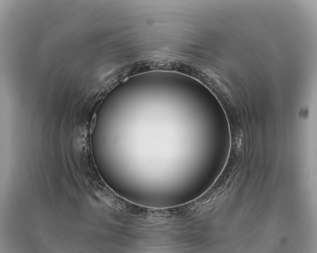 X0000091070964200708131149