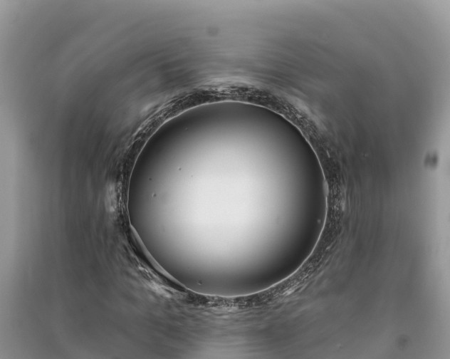 X0000091070965200708131149