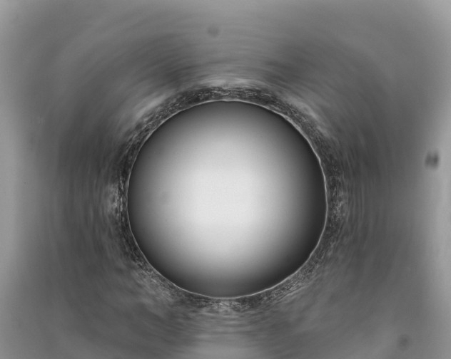 X0000091070966200708131149