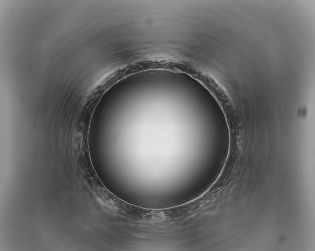 X0000091070968200708131149