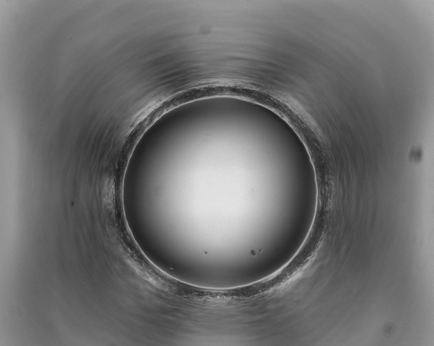 X0000091070969200708131149