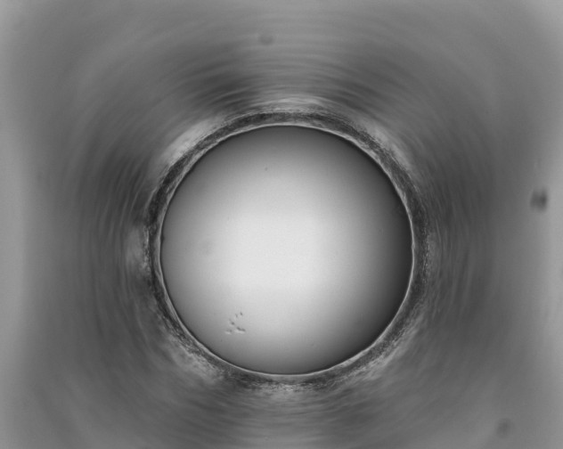 X0000091070970200708131149