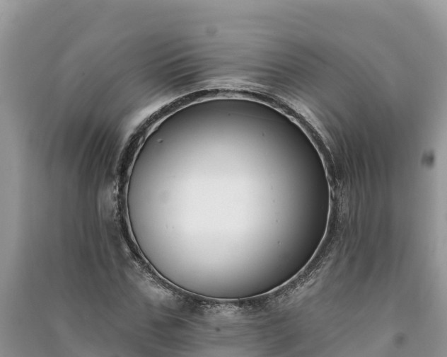 X0000091070971200708131149