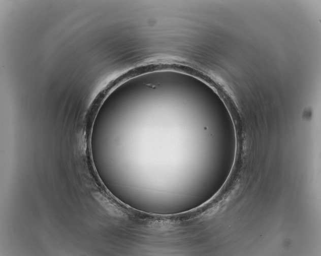 X0000091070973200708131149