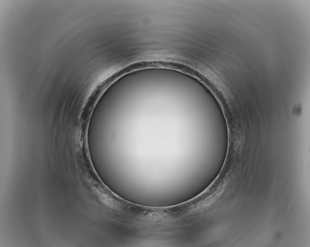 X0000091070974200708131149