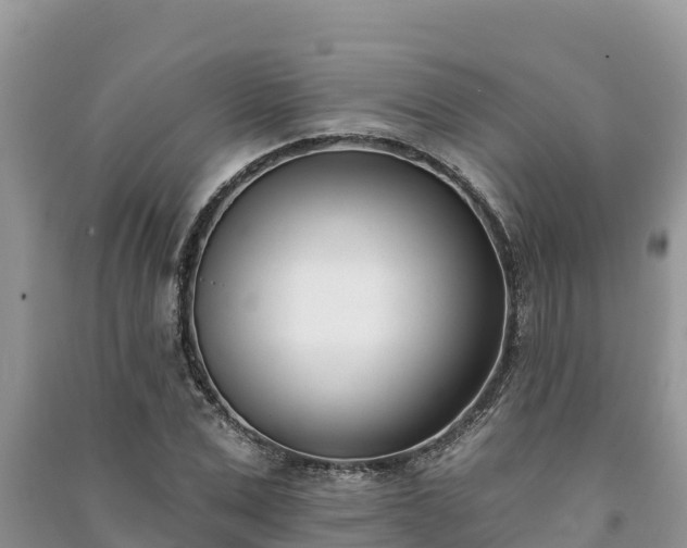 X0000091070975200708131149