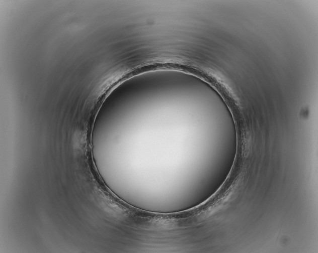 X0000091070977200708131149