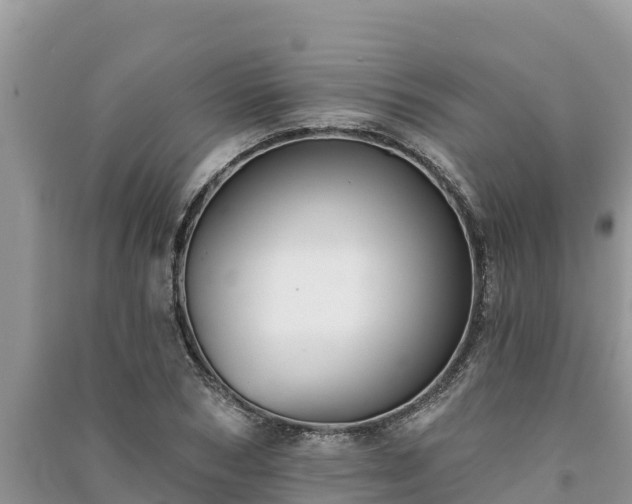 X0000091070978200708131149