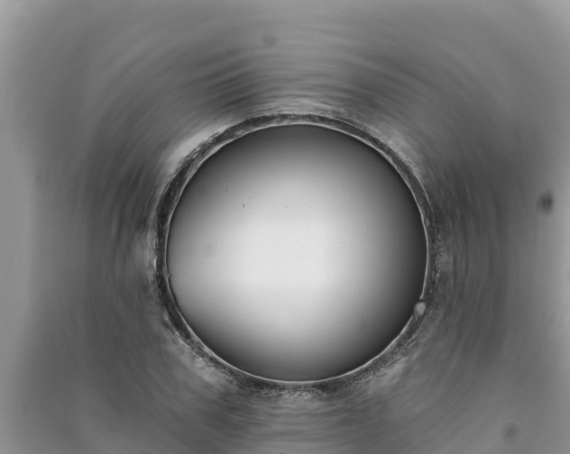 X0000091070979200708131149