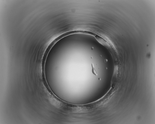 X0000091070980200708131149