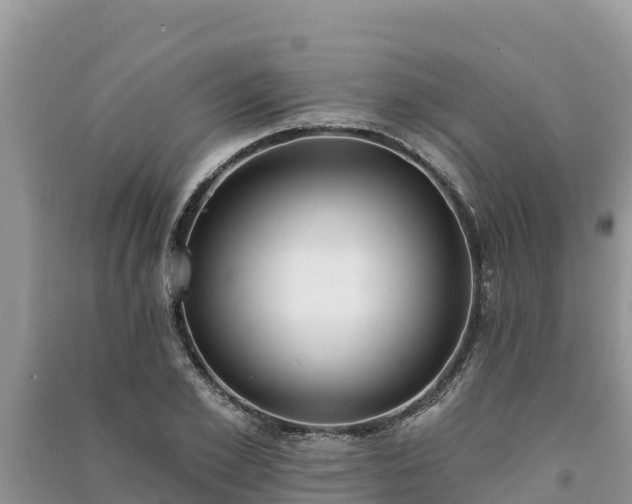 X0000091070981200708131149