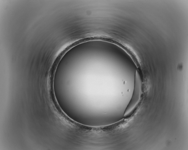 X0000091070983200708131149