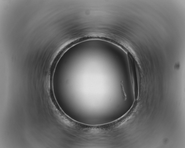 X0000091070984200708131149