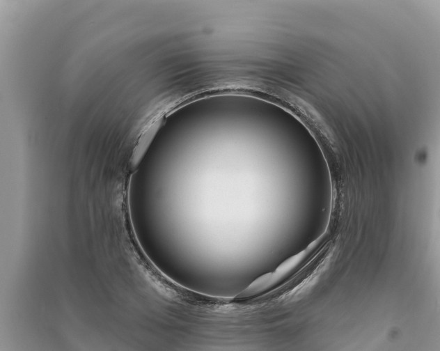 X0000091070985200708131149