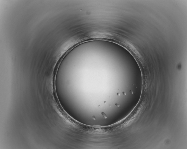 X0000091070986200708131149