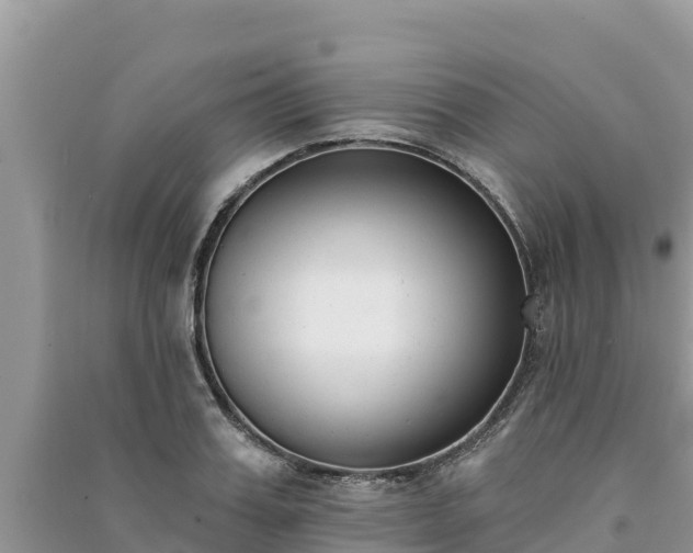 X0000091070987200708131149