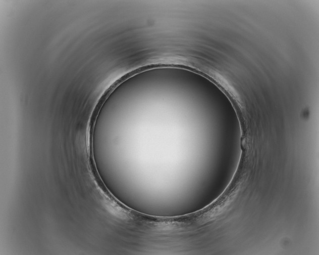 X0000091070988200708131149