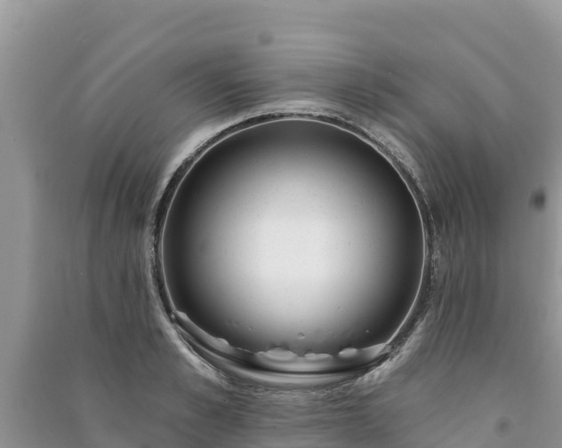 X0000091070989200708131149