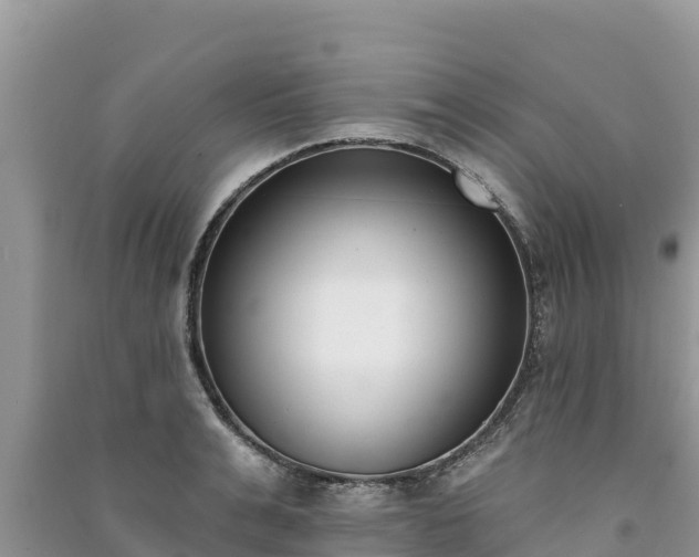X0000091070991200708131149