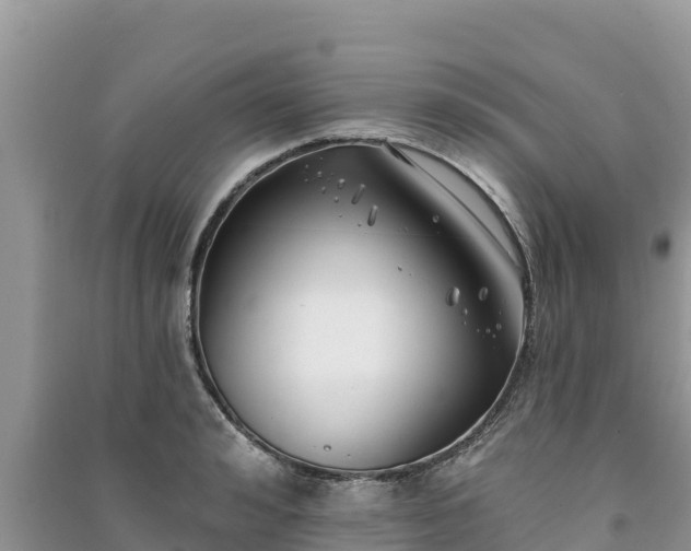 X0000091070992200708131149