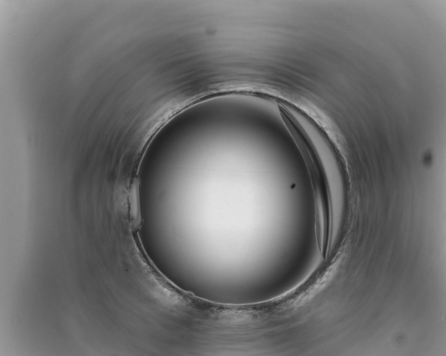 X0000091070993200708131149