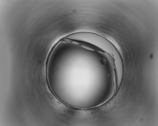 X0000091070996200708131149