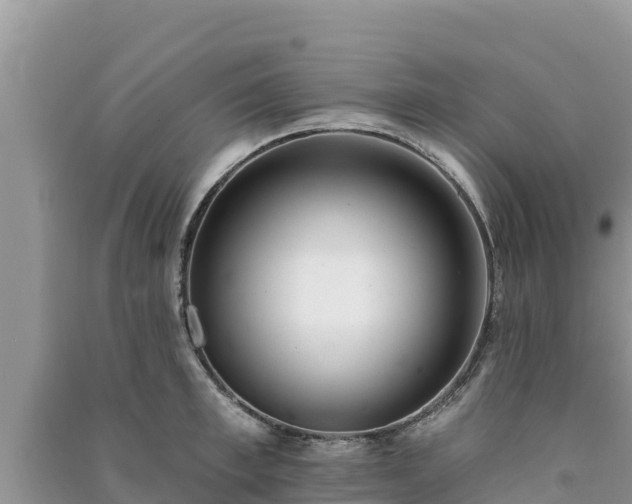 X0000091070997200708131149