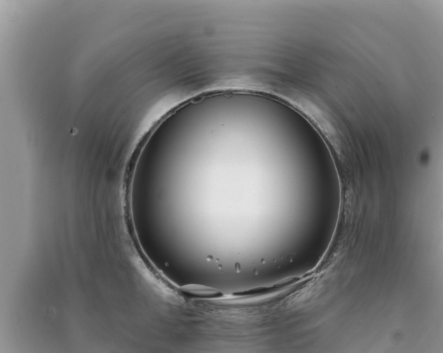 X0000091070998200708131149