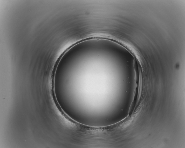 X0000091070999200708131149