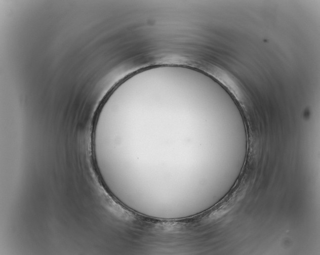 X0000091071000200708131149