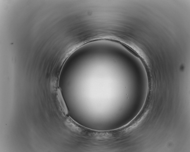 X0000091071001200708131149
