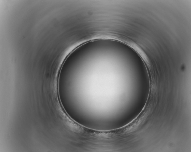 X0000091071004200708131148
