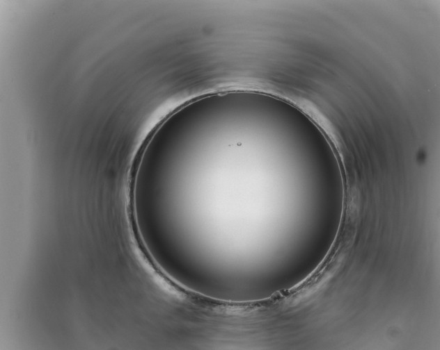 X0000091071005200708131148