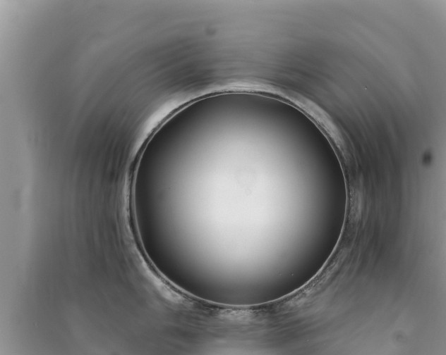 X0000091071006200708131148