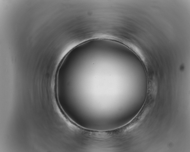 X0000091071007200708131148