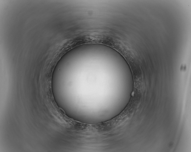 X0000091071009200708131148