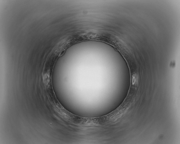X0000091071011200708131148