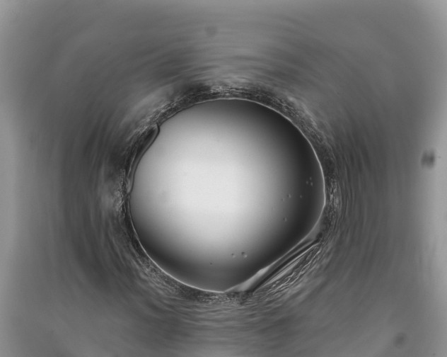X0000091071012200708131148
