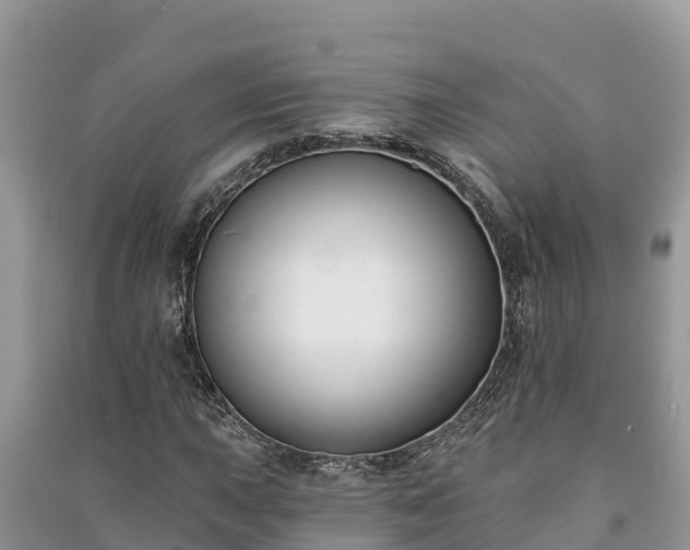 X0000091071015200708131148