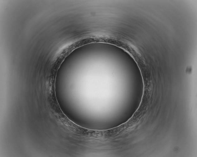 X0000091071016200708131148