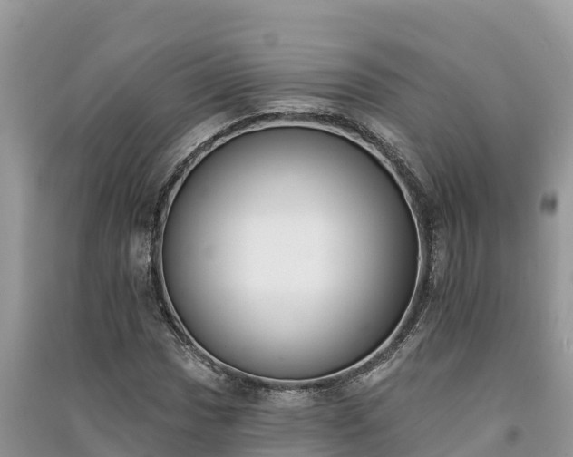 X0000091071017200708131148