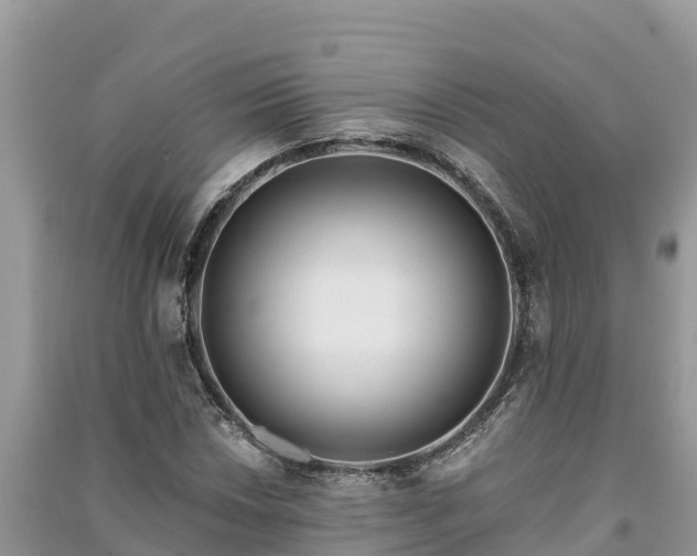 X0000091071018200708131148