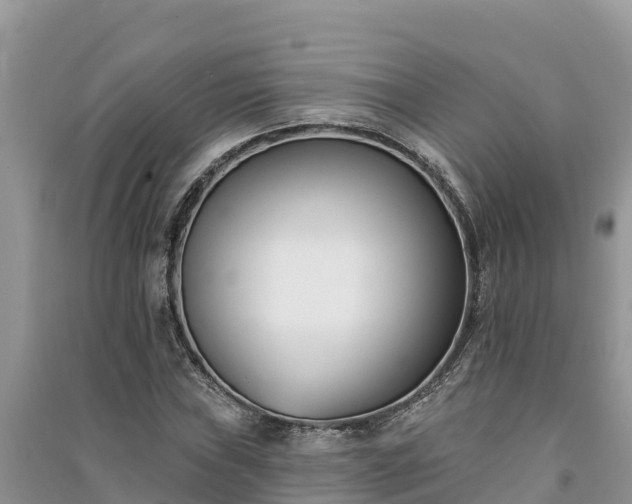X0000091071019200708131148