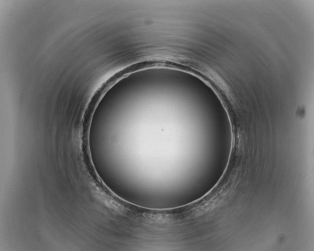 X0000091071020200708131148