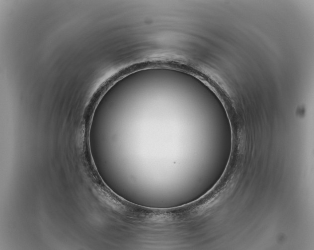 X0000091071021200708131148