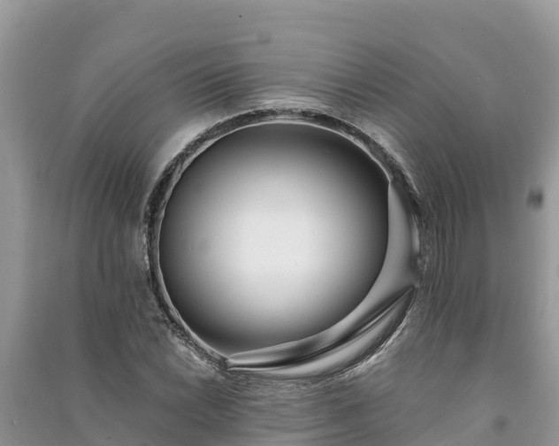 X0000091071022200708131148