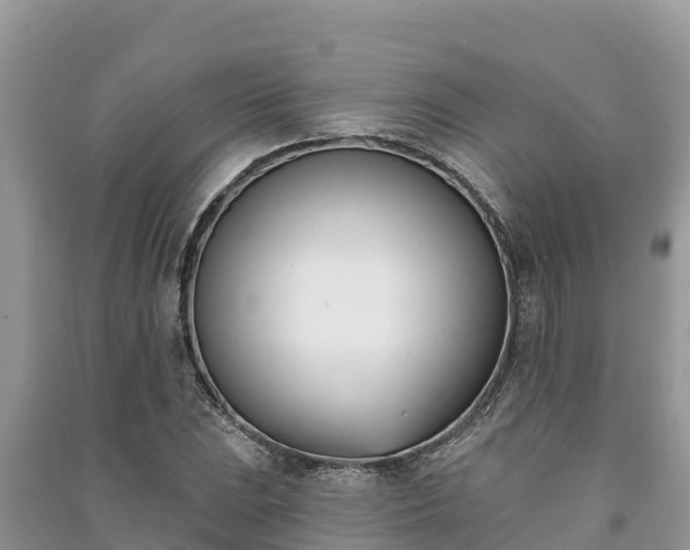 X0000091071023200708131148