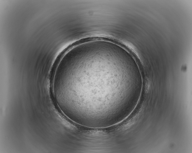 X0000091071024200708131148