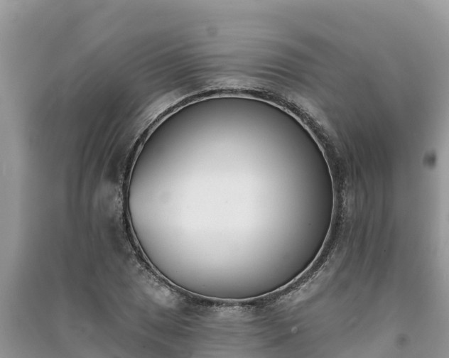X0000091071025200708131148